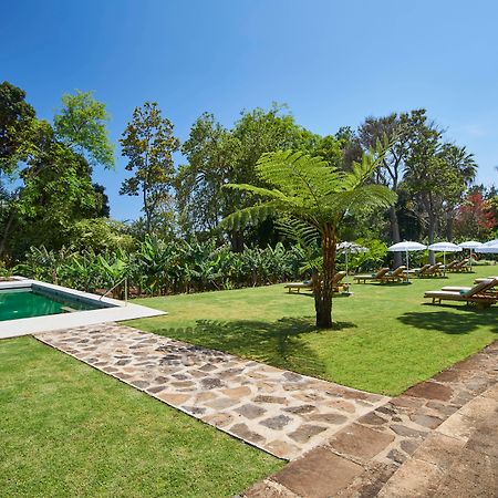 Quinta Da Casa Branca - Small Luxury Hotels Of The World Funchal  Exterior photo