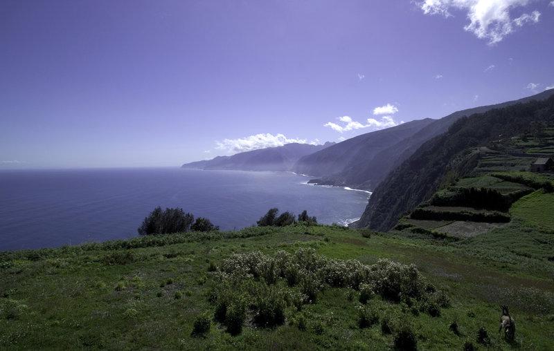 Quinta Da Casa Branca - Small Luxury Hotels Of The World Funchal  Facilities photo